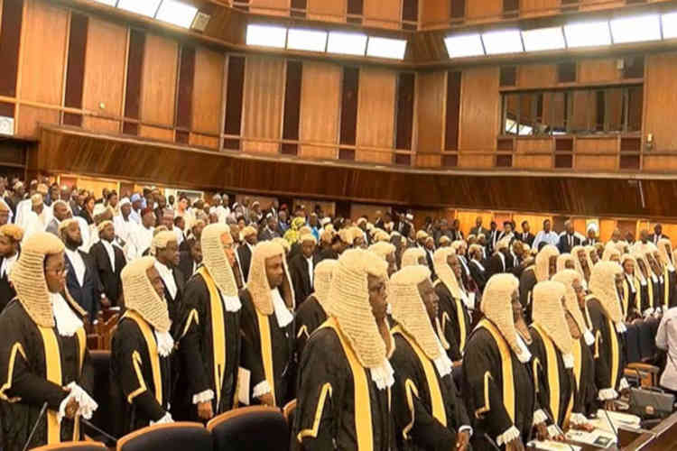 (FULL LIST): Elachi, Aladedoye, Abhulimen 55 Others Emerge Senior Advocates Of Nigeria