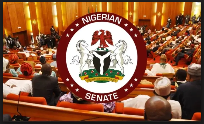 Senate Demands Apology From Libya For Mistreatment Of Super Eagles