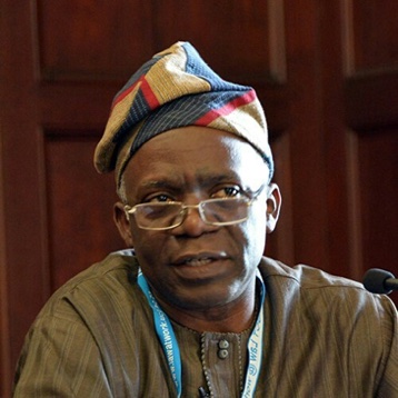 Femi Falana Criticizes FCT Minister Nyesom Wike’s Provision of Housing for Judges