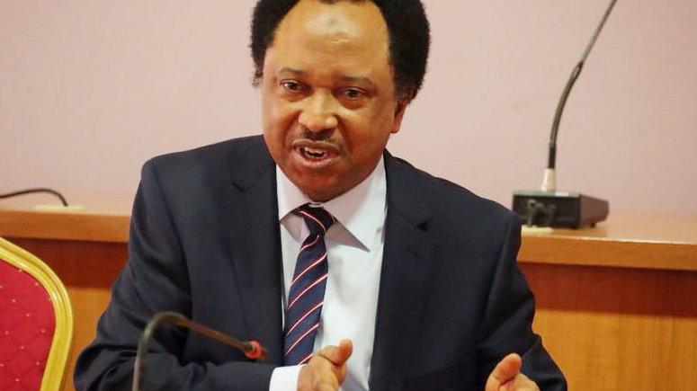 God Will Reveal Tinubu’s Genuine Certificate When You fast And Pray– Shehu Sani Tells Supreme Court Judges