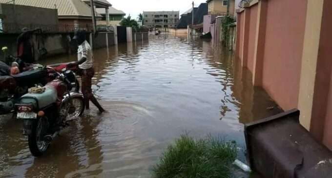 Flood: Falana Urges FG To Probe Management Of Ecological Fund