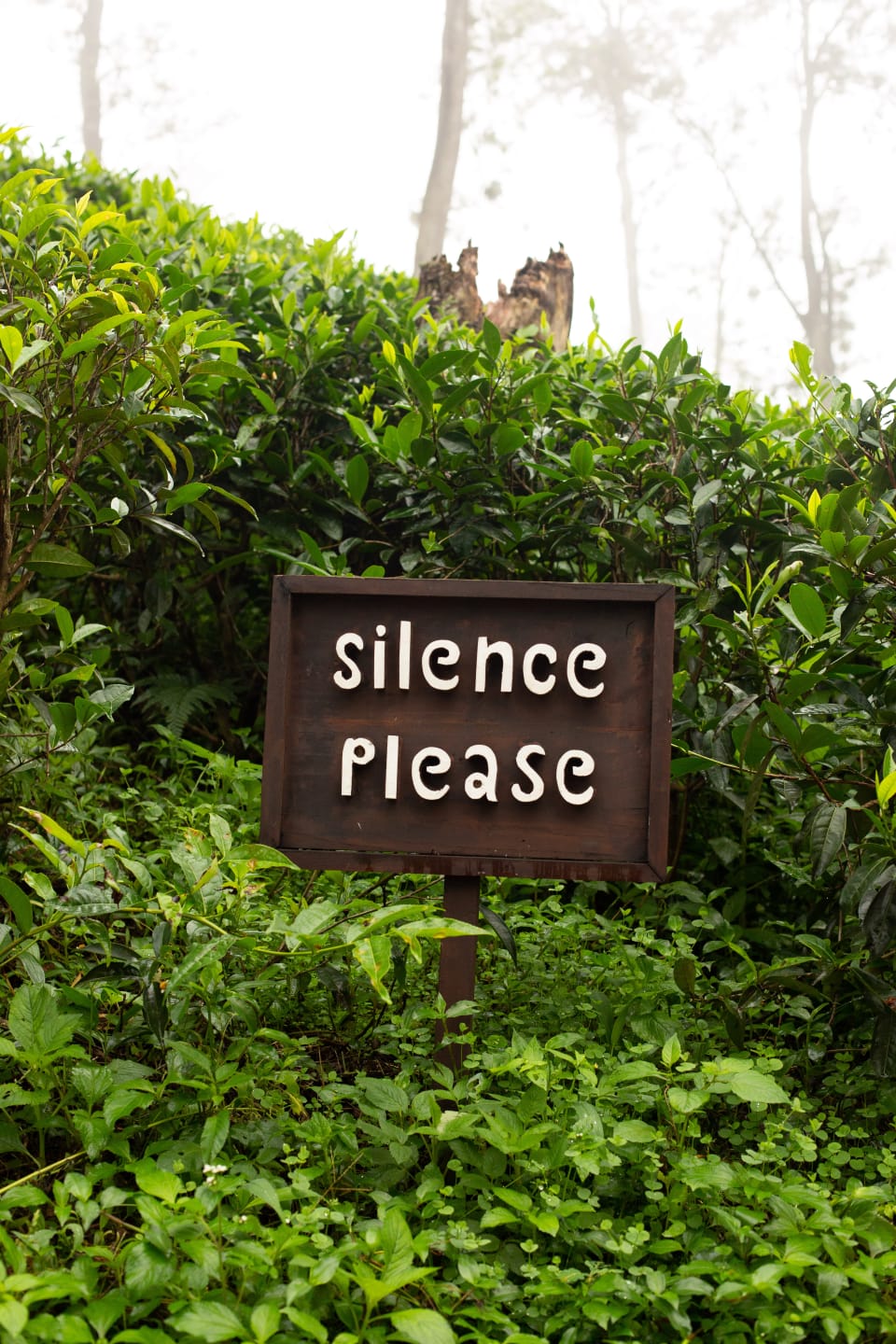 Silence Is Golden! By Johnson Babalola