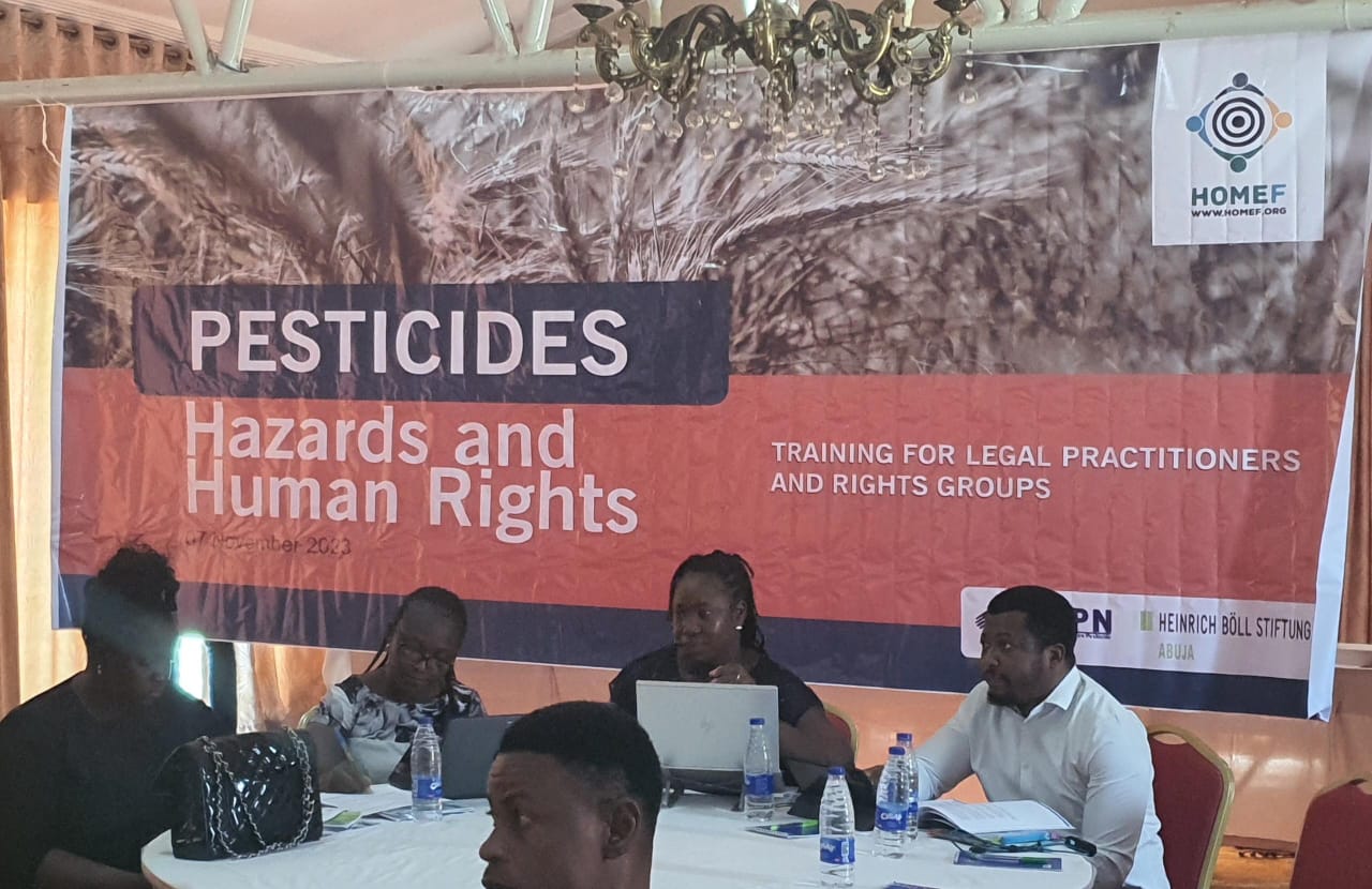 Fundamental Right To Life And Clean, Healthy Environment Is Threatened By Indiscriminate Use Of Pesticides- Nnimmo Bassey