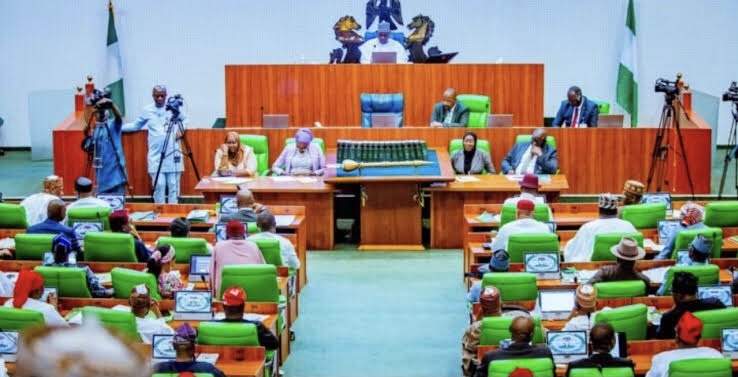 House Of Representatives Advances Bill For Diaspora Voting To Second Reading