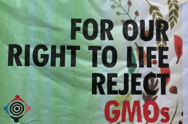 GMOs, Biosafety And Human Rights By Nnimmo Bassey