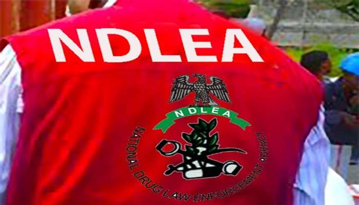 NDLEA Commander Advocates For Mandatory Drug Tests For University Admission Seekers