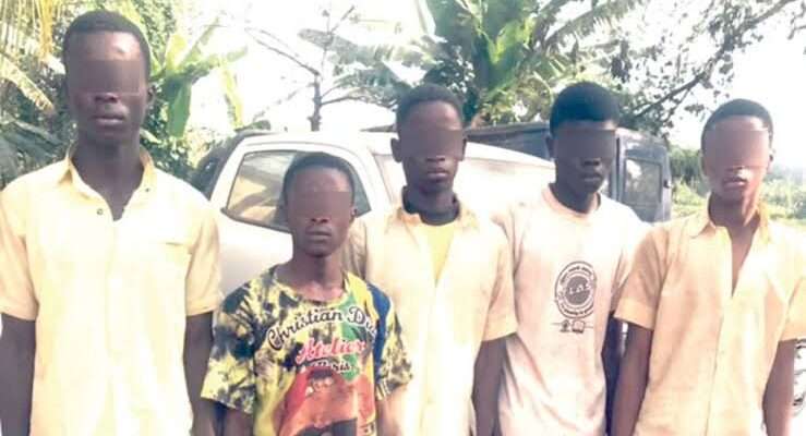 Amotekun Arrests Five Students For Rape Of Female Classmates In Oyo