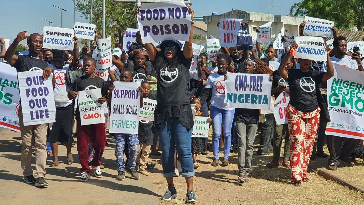 Nationwide Campaign Rises Against GMO Foods In Nigeria