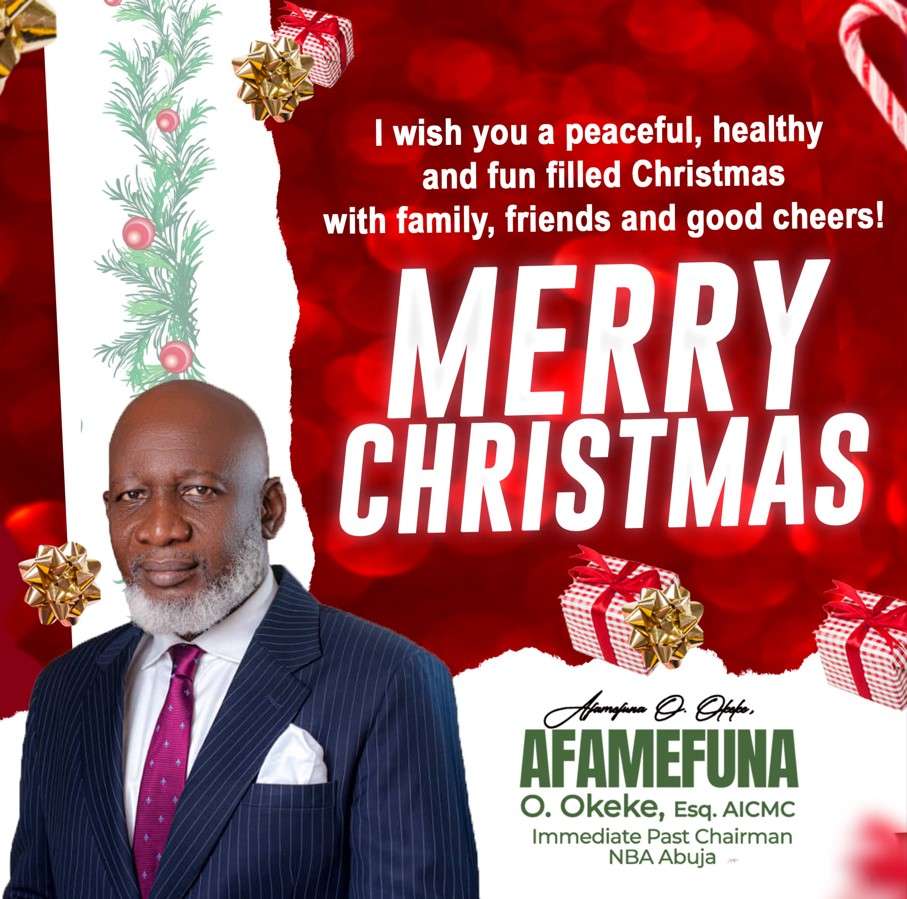 Afamefuna Okeke Extends Christmas Greetings, Condoles With Stampede Victims