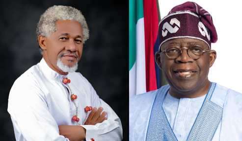 Lawyer Criticizes Tinubu Over Advice To Nigerians On Managing Electricity Bills