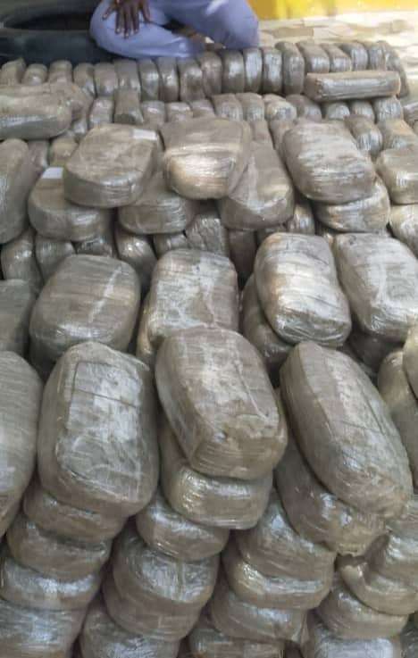 Fake Police Officer Caught And Arrested With 495kg Of Indian Hemp In Gombe